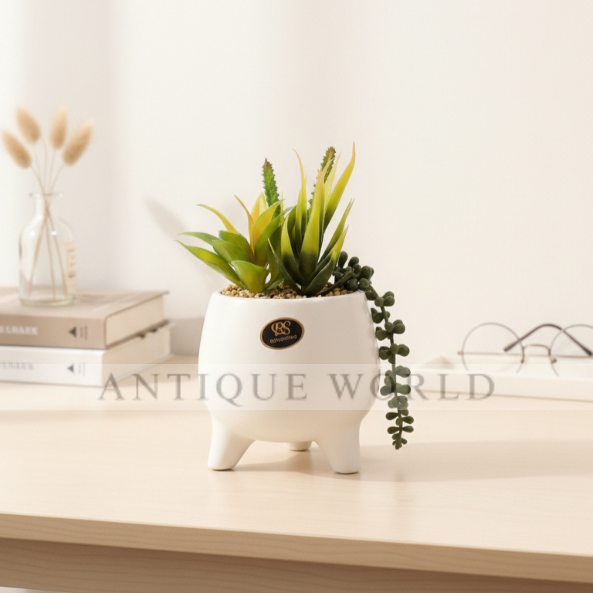 Desk Haven Succulent Plant