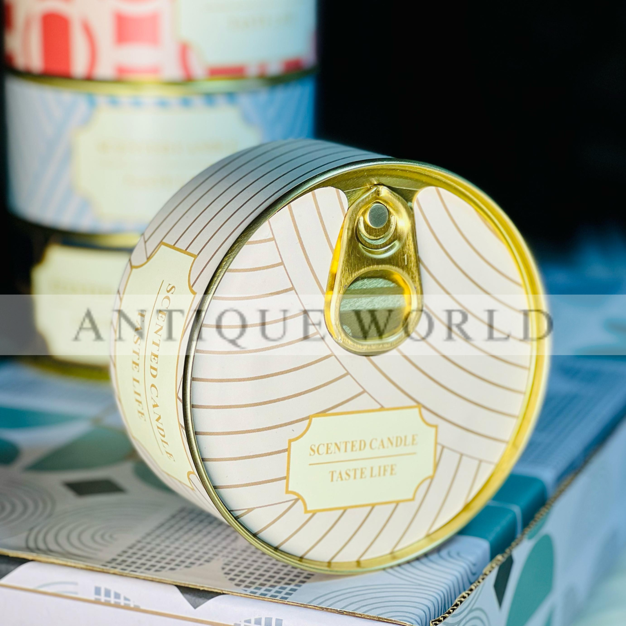 Double Wick Scented Soy Candles in Tin Can Gift (Set of 6)