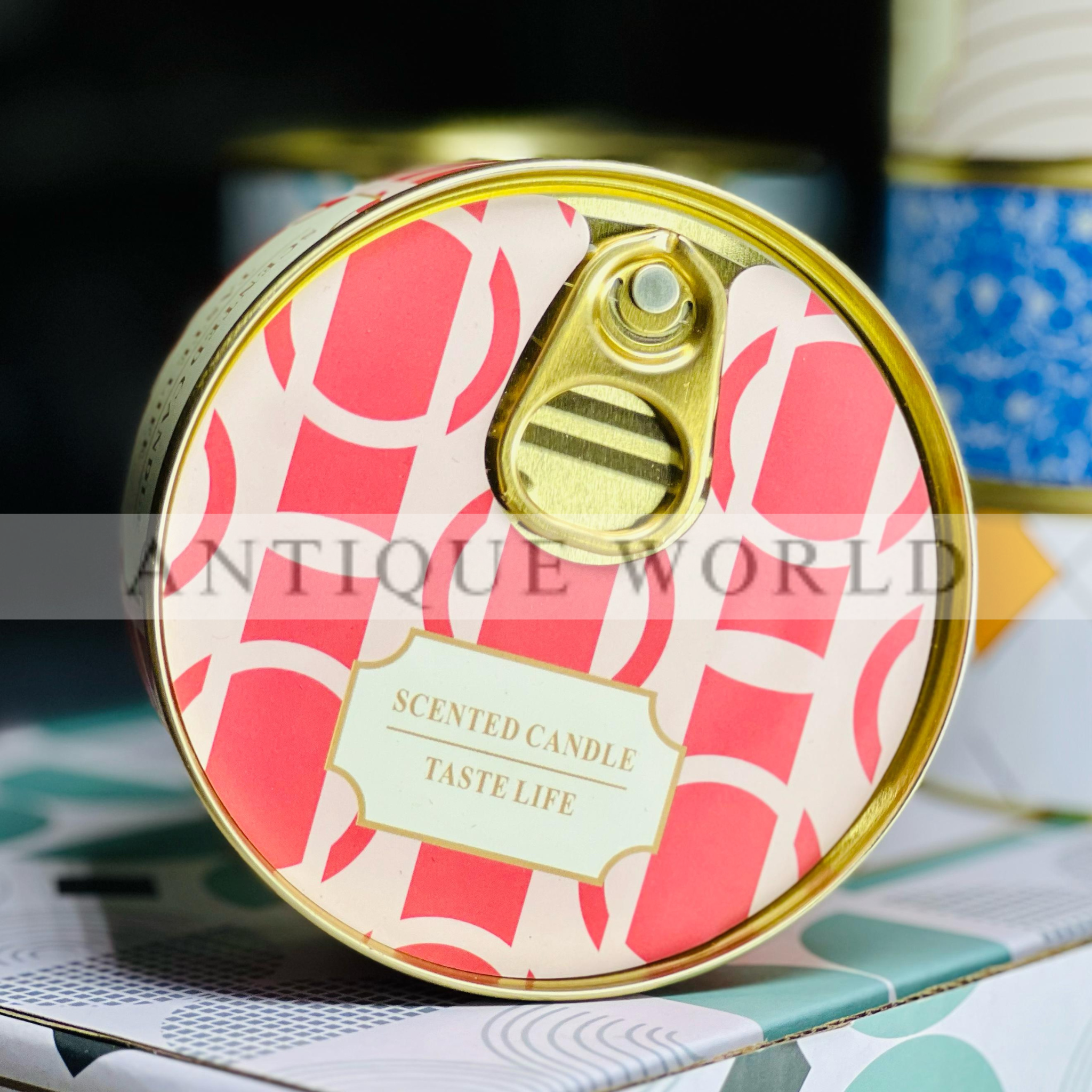 Double Wick Scented Soy Candles in Tin Can Gift (Set of 6)