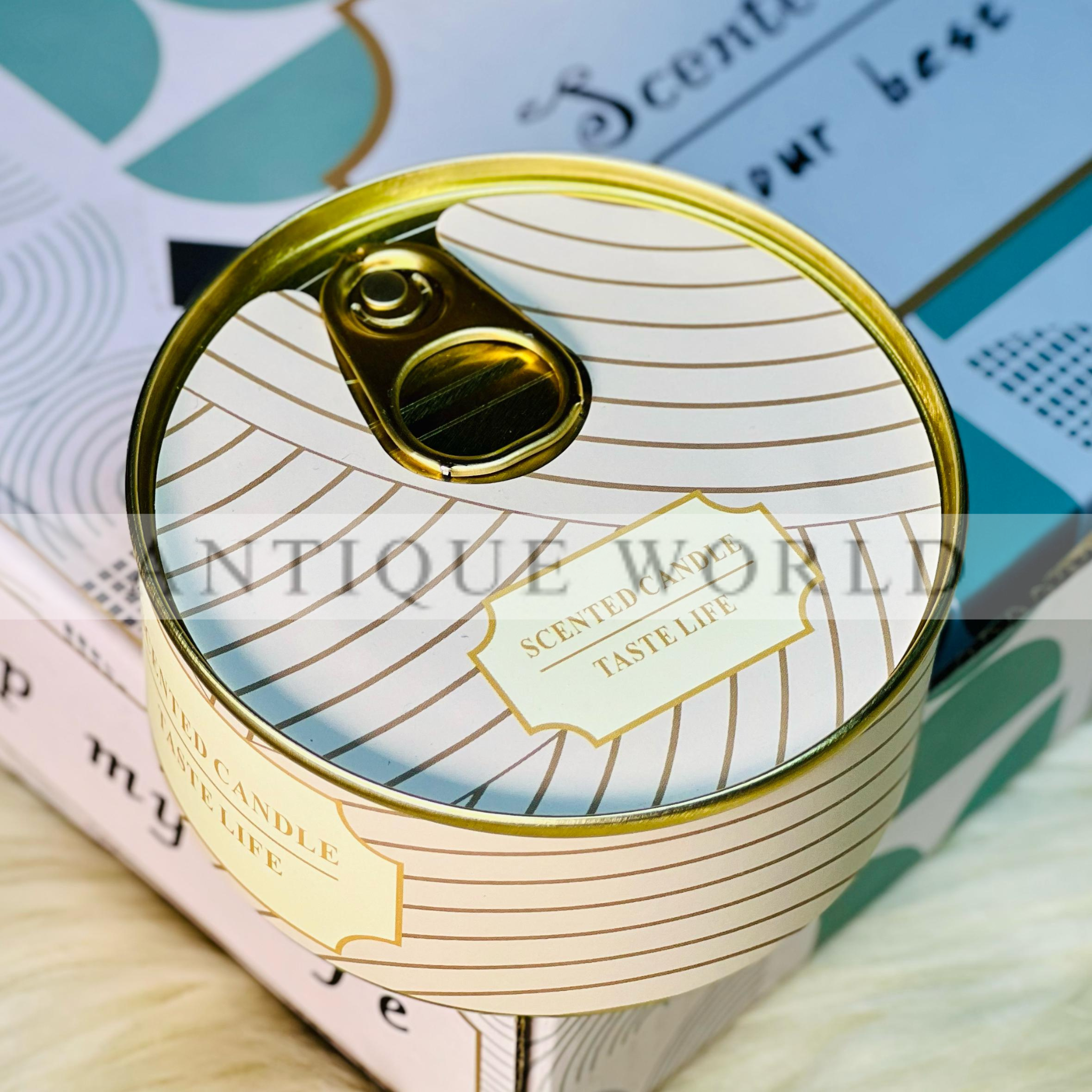 Double Wick Scented Soy Candles in Tin Can Gift (Set of 6)