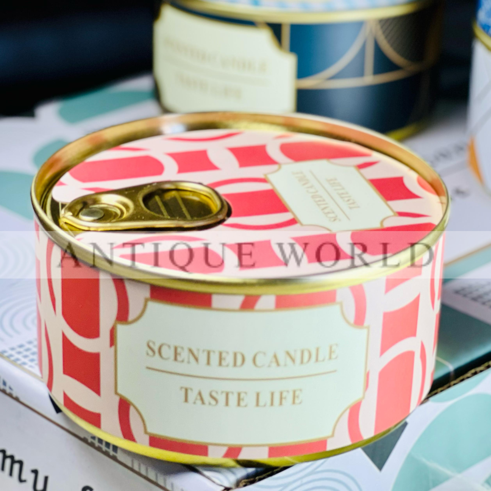 Double Wick Scented Soy Candles in Tin Can Gift (Set of 6)