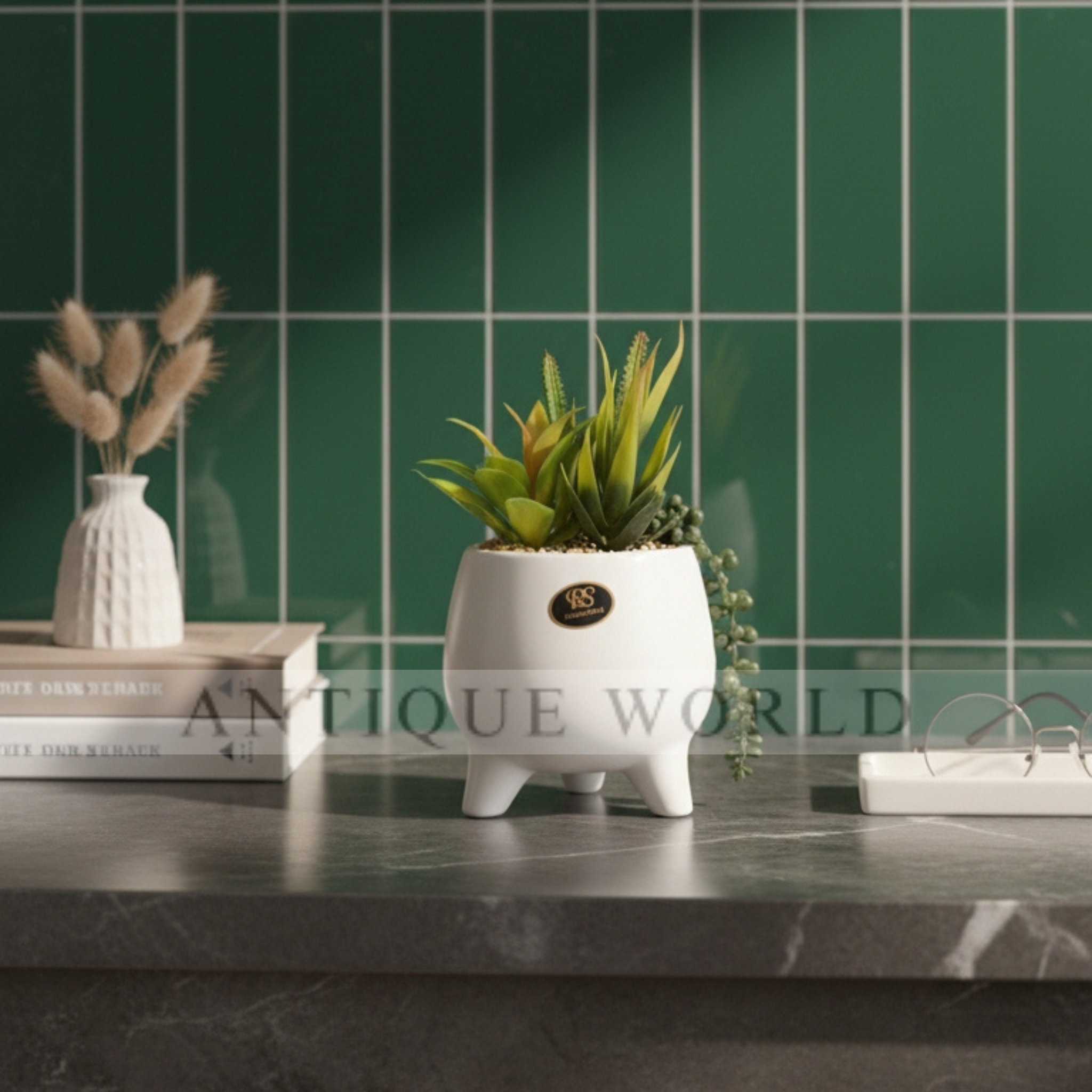 Desk Haven Succulent Plant
