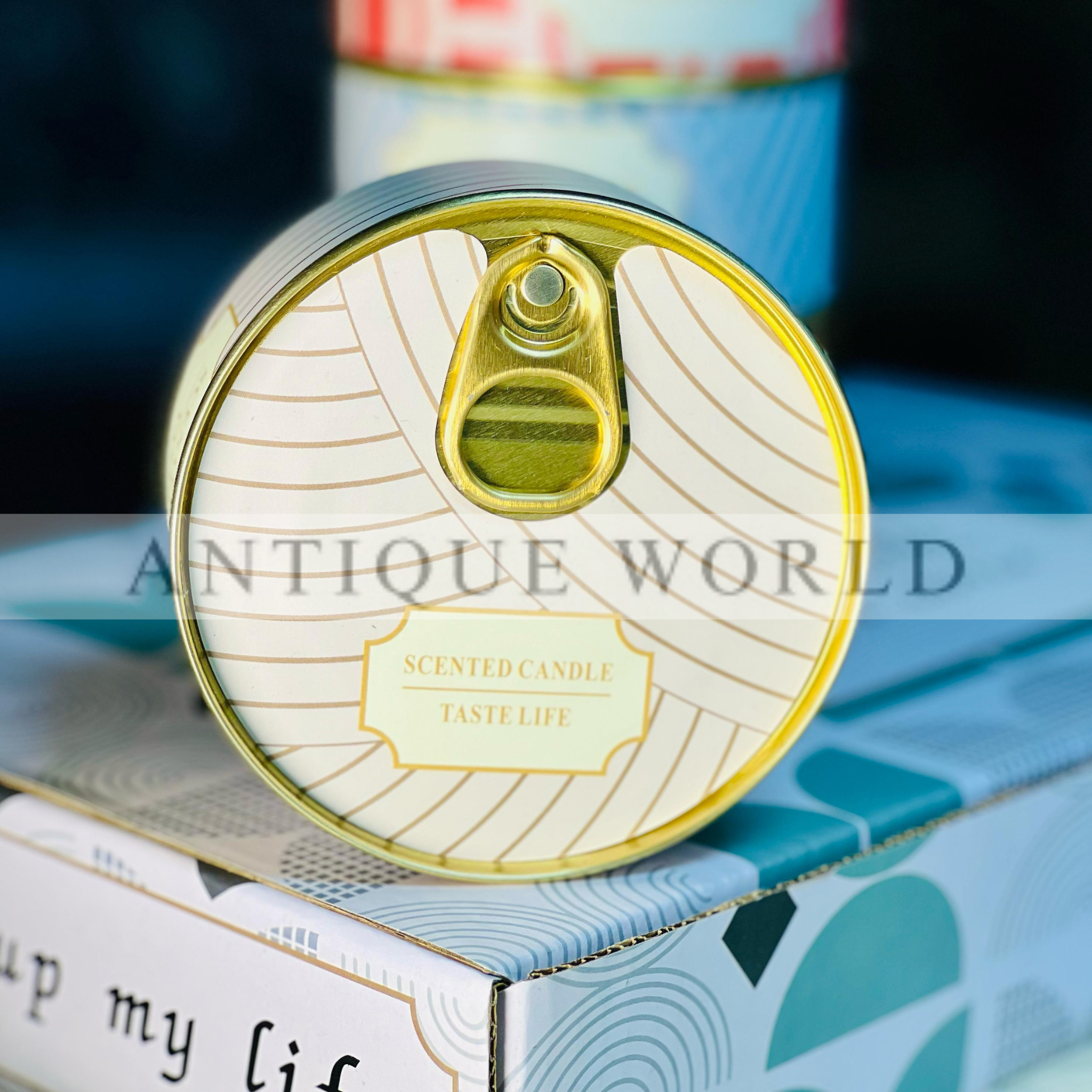 Double Wick Scented Soy Candles in Tin Can Gift (Set of 6)