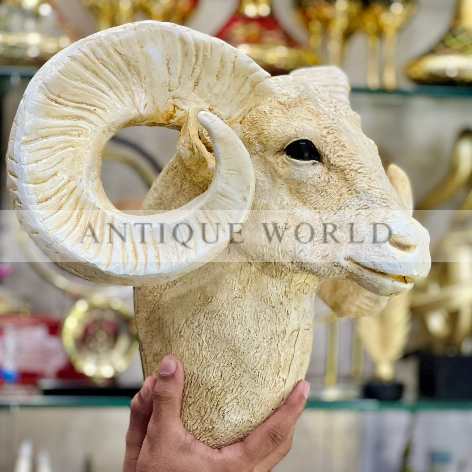 Bighorn Ram Wall hanging Head