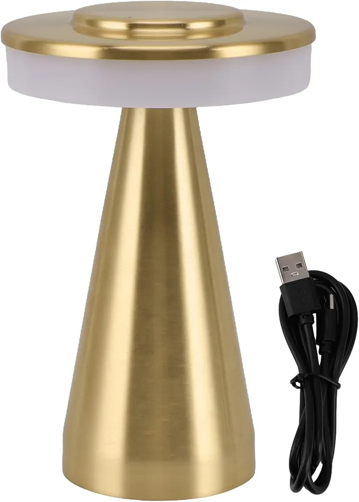 Portable LED Desk Lamp with 3 Mode