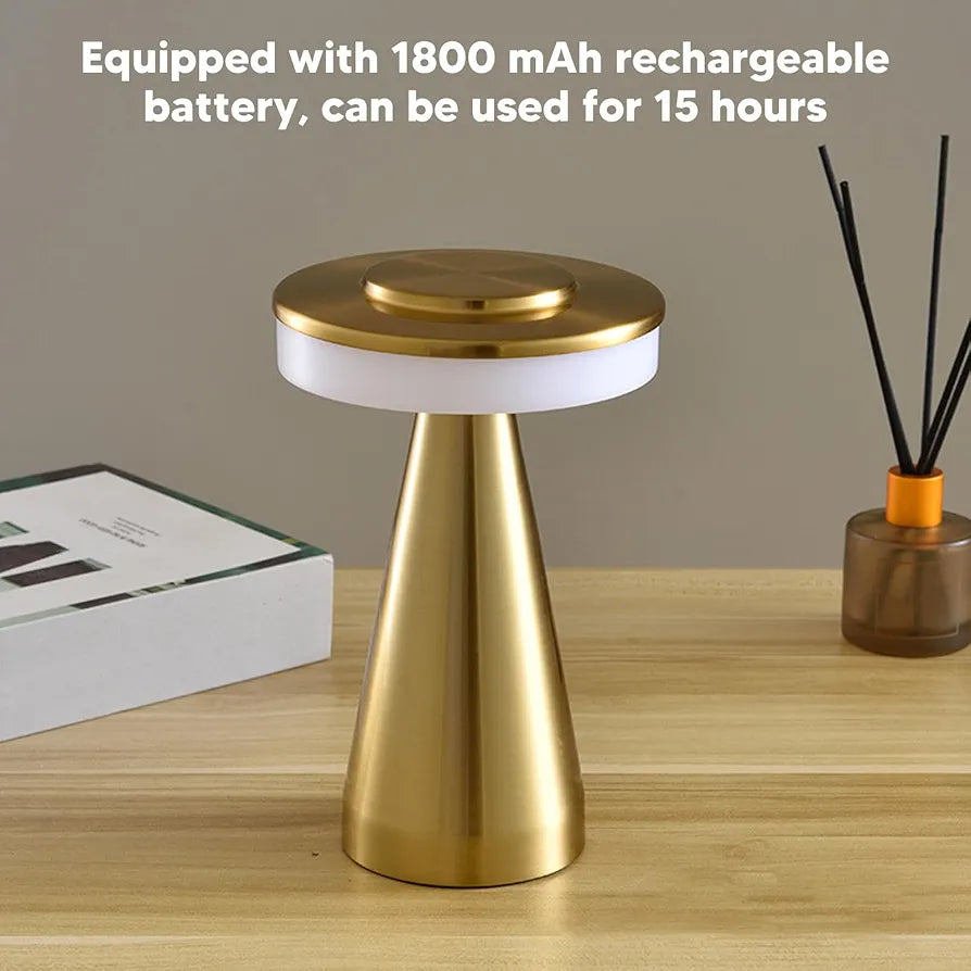 Portable LED Desk Lamp with 3 Mode