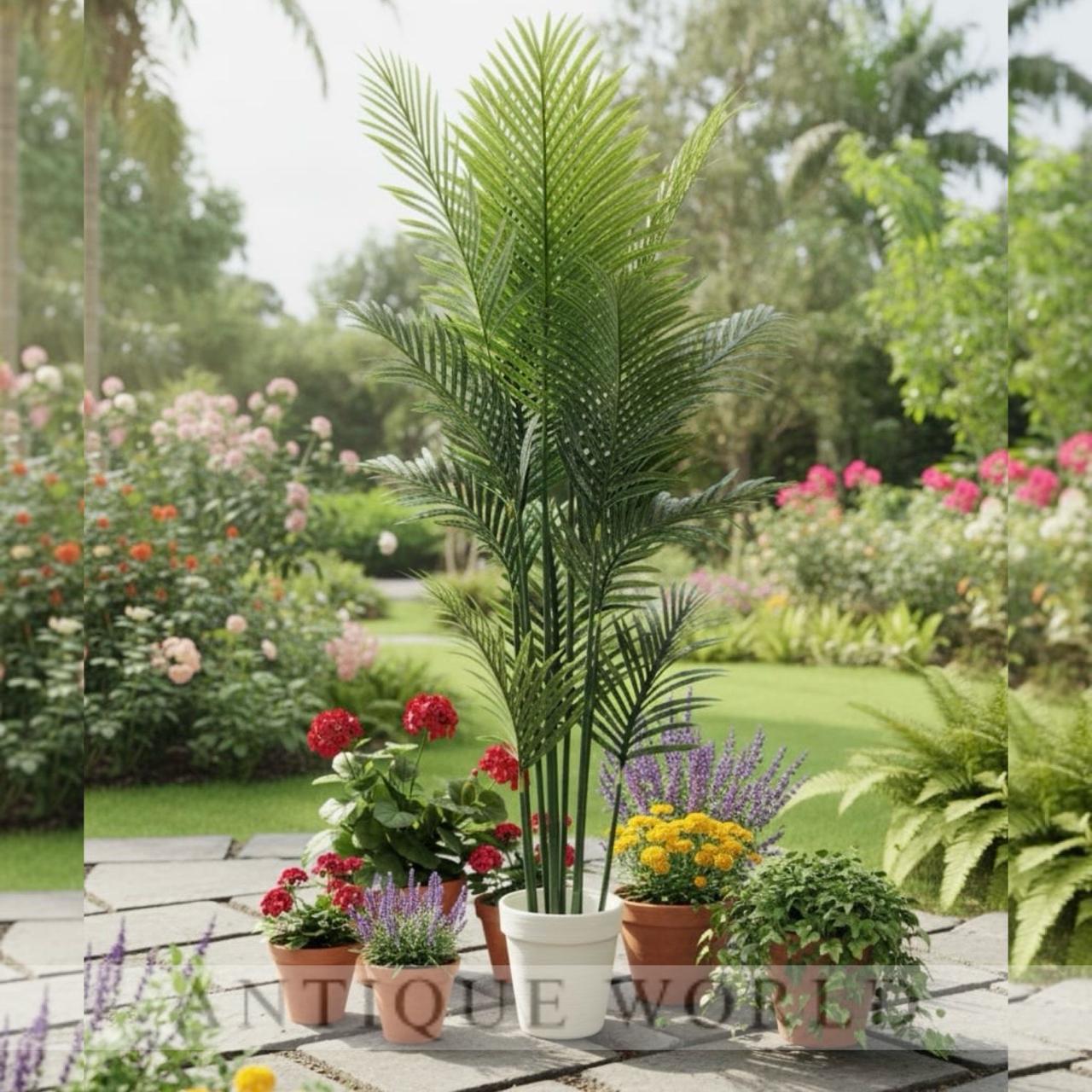Tropical Breeze Plant