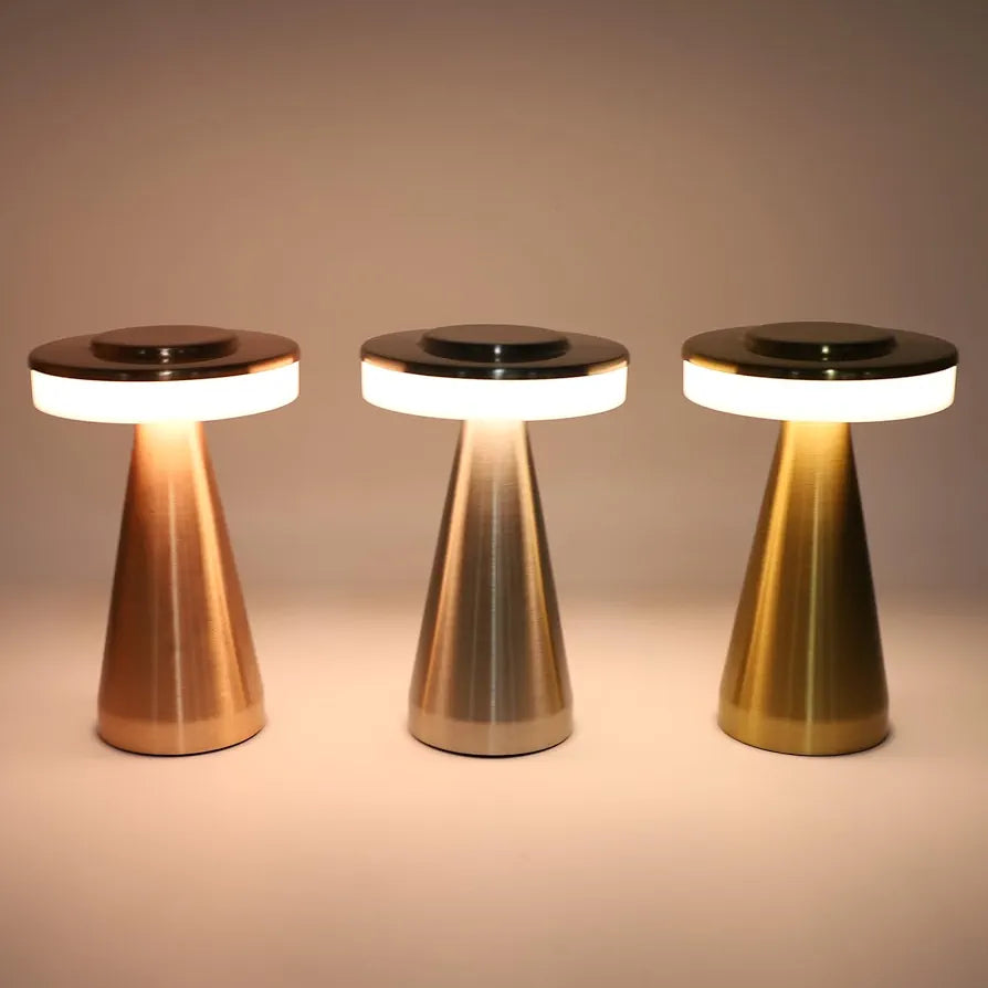 Portable LED Desk Lamp with 3 Mode