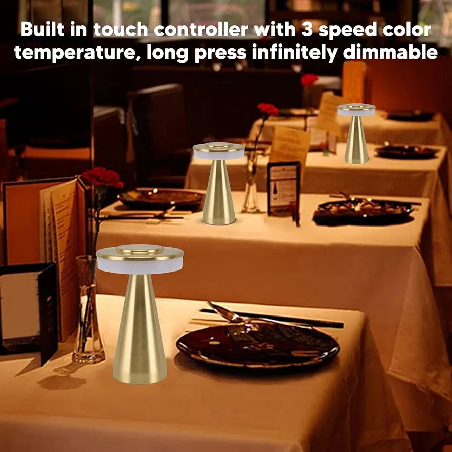 Portable LED Desk Lamp with 3 Mode