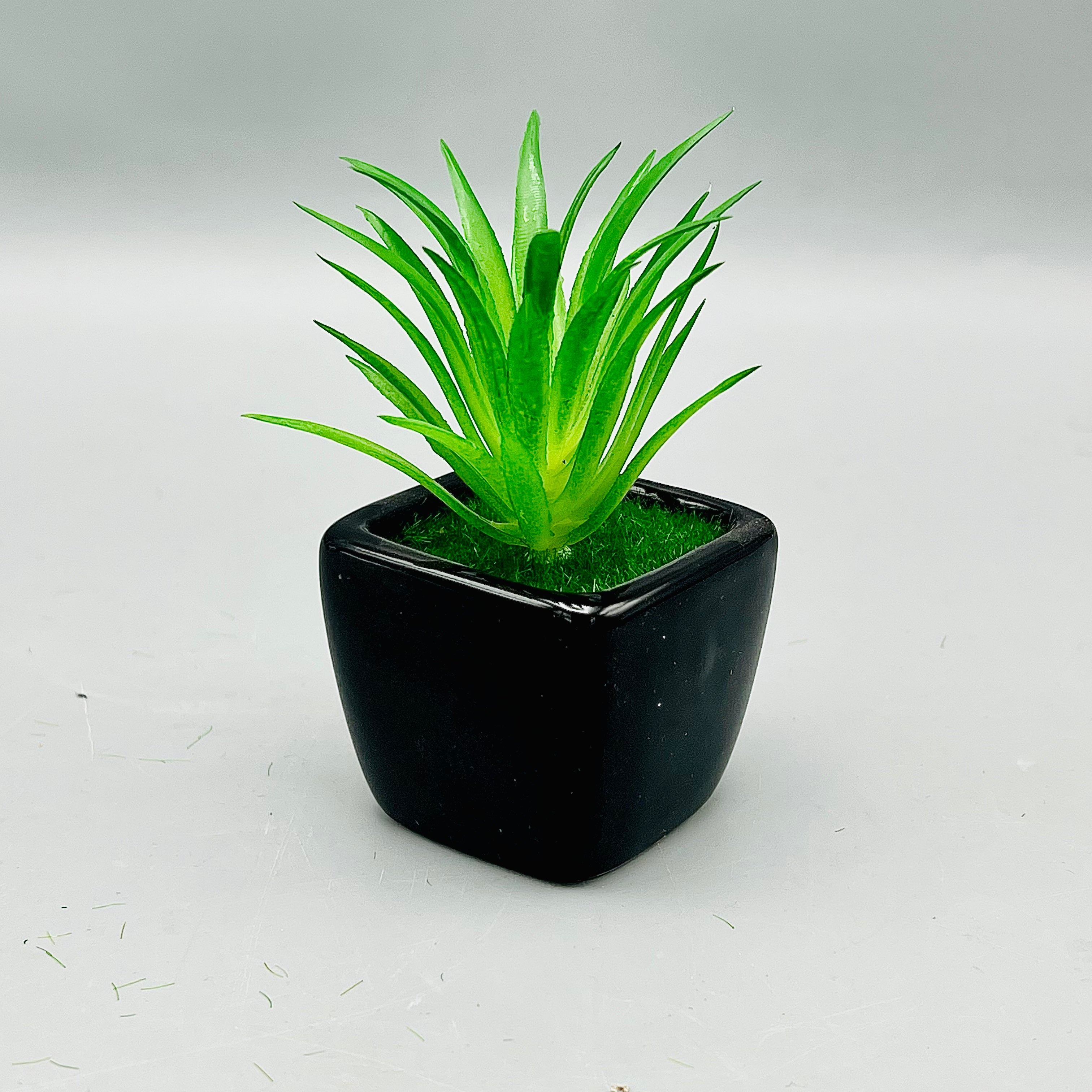 Meadow Plant Pot