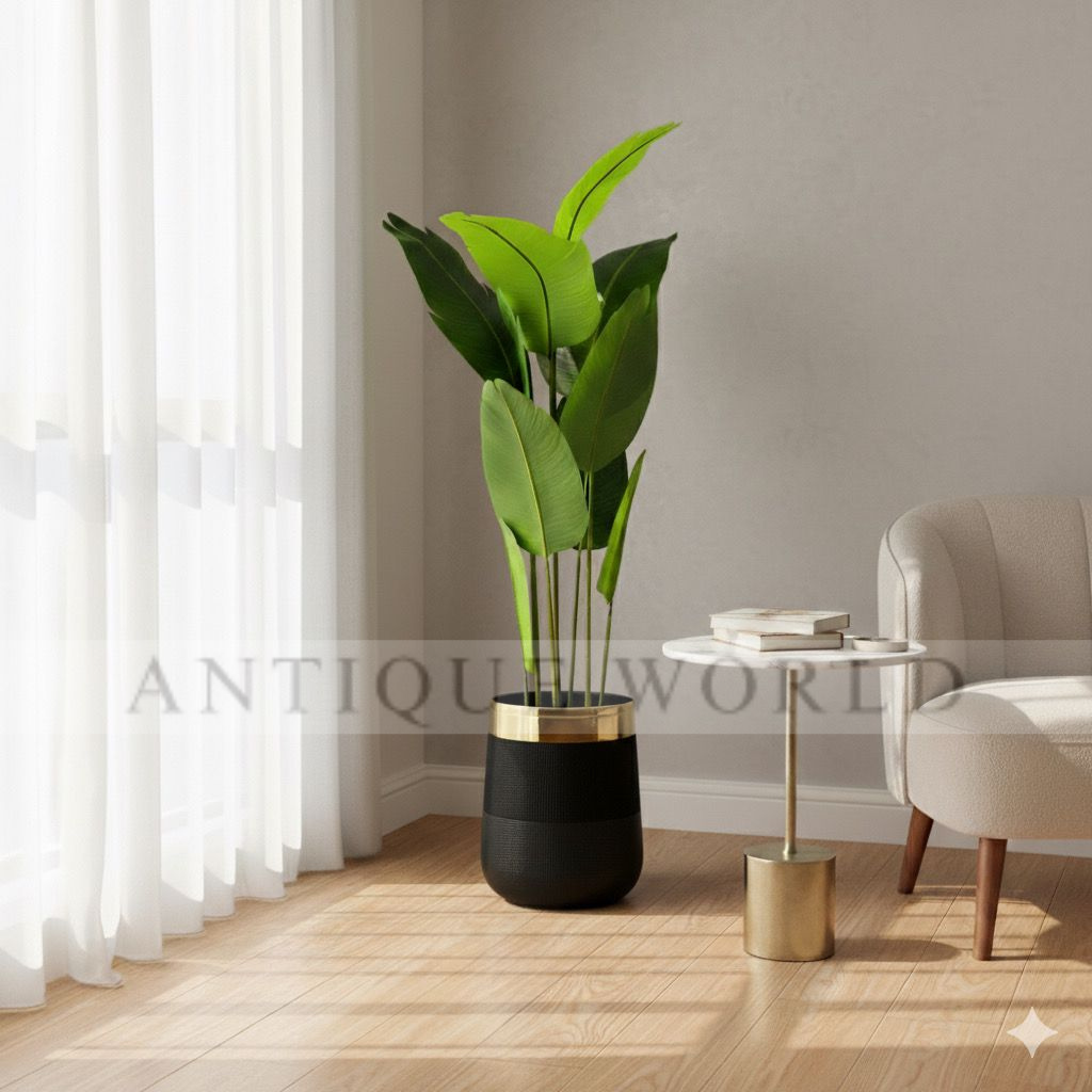 Banana Leaf Plant