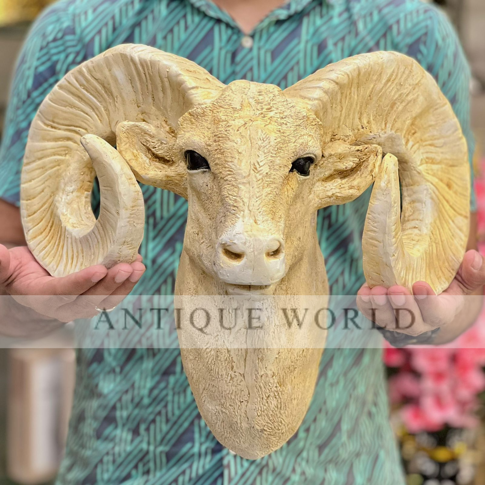 Bighorn Ram Wall hanging Head