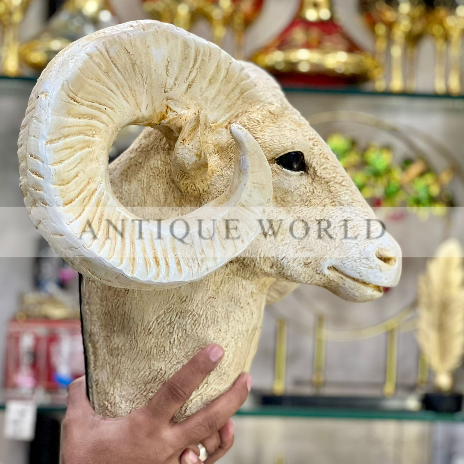 Bighorn Ram Wall hanging Head