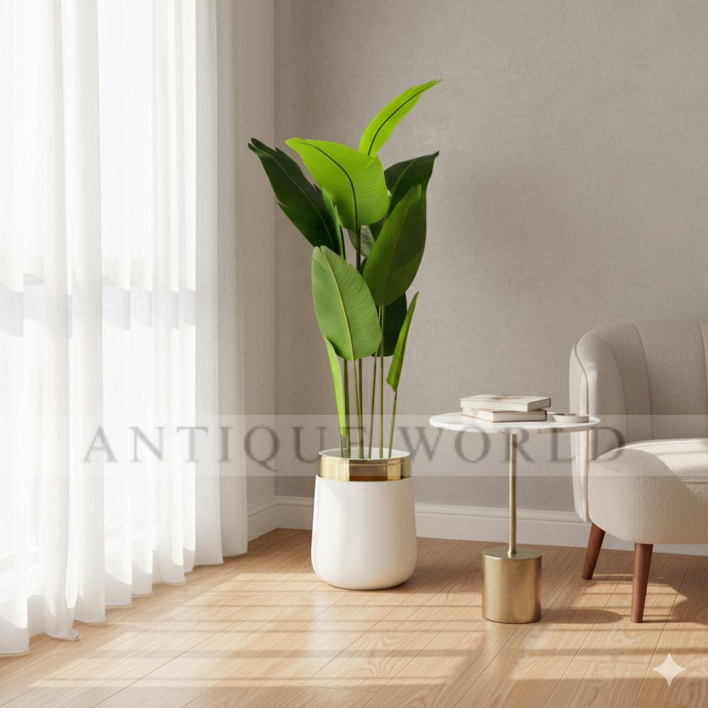 Banana Leaf Plant