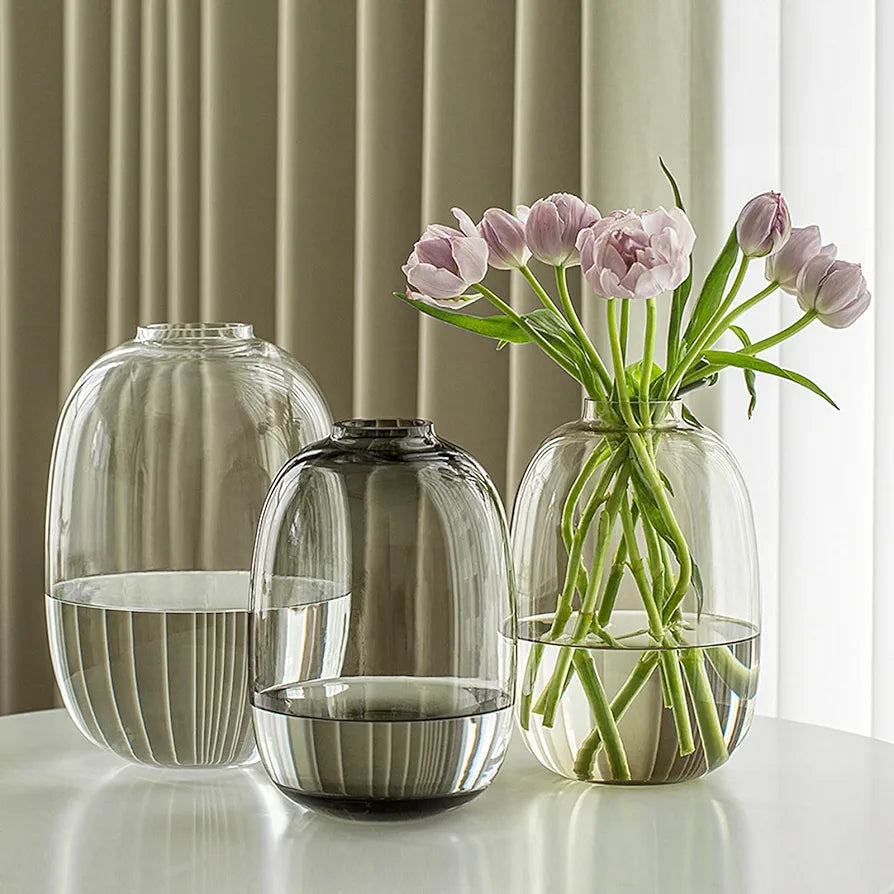 Glass Flower Pot Modern Hydroponic Vase for Living Room