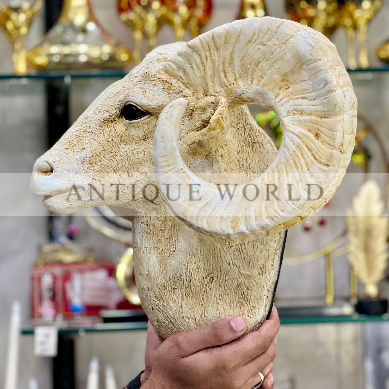 Bighorn Ram Wall hanging Head
