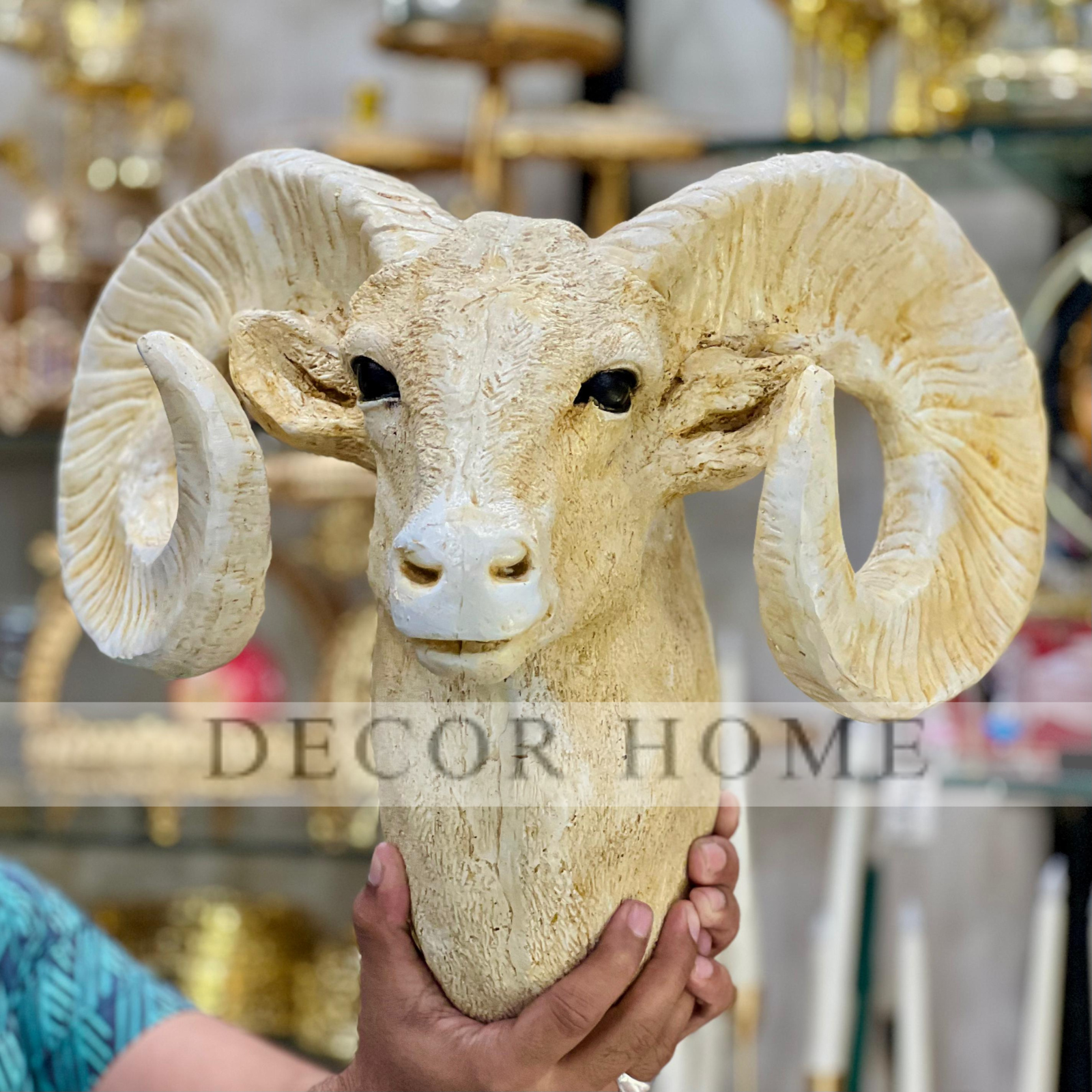 Bighorn Ram Wall hanging Head