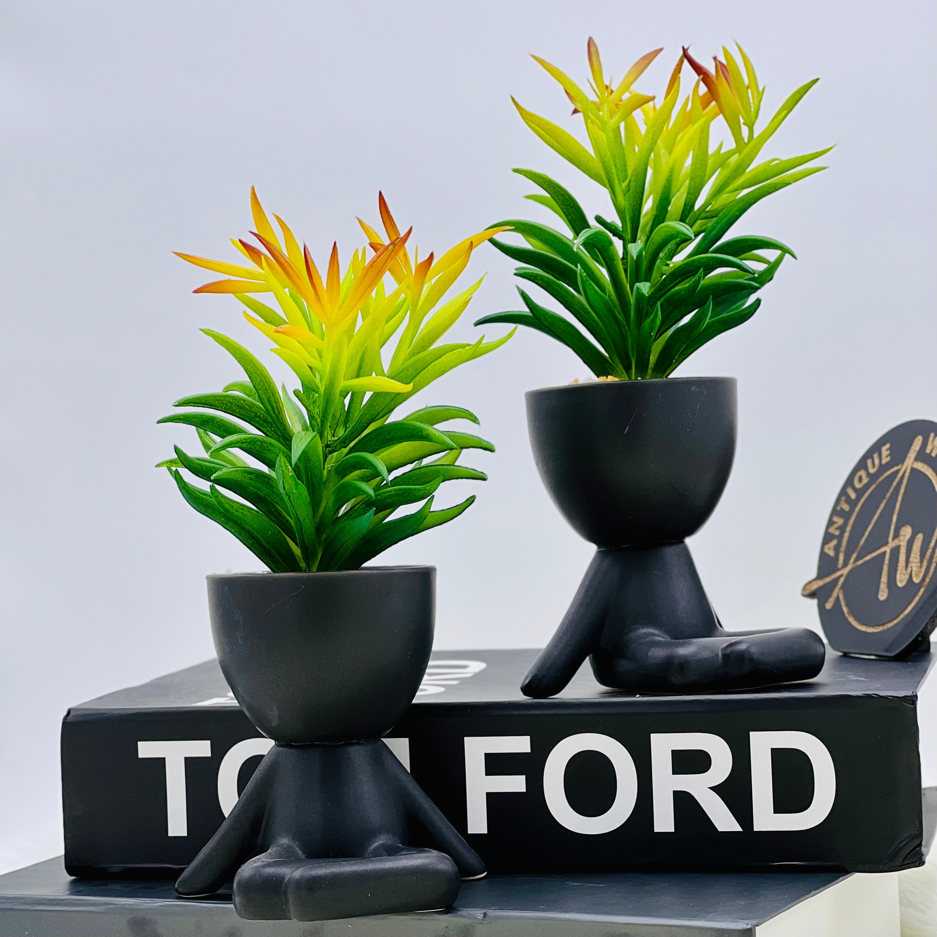 Chilling On Wall Pot Planter