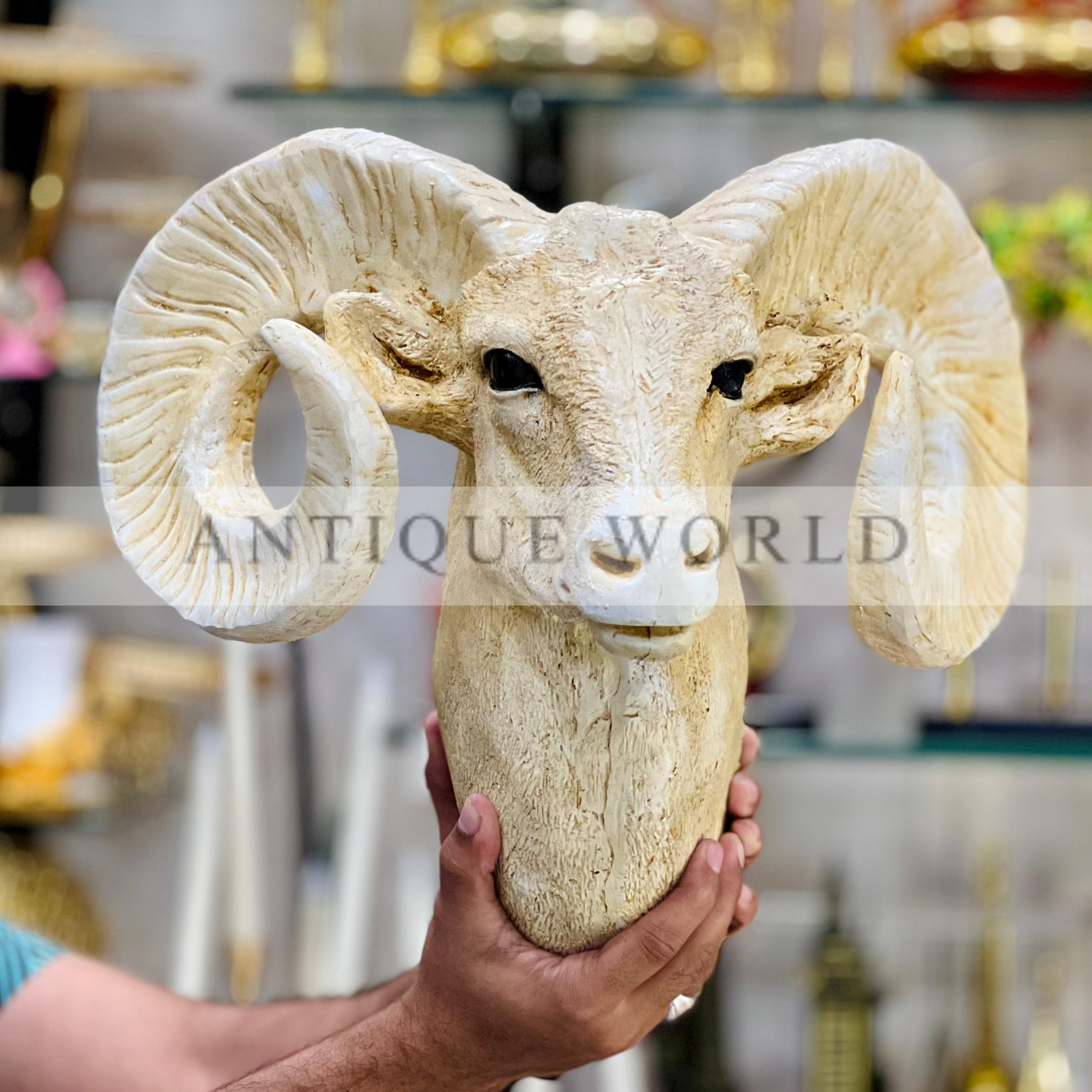 Bighorn Ram Wall hanging Head