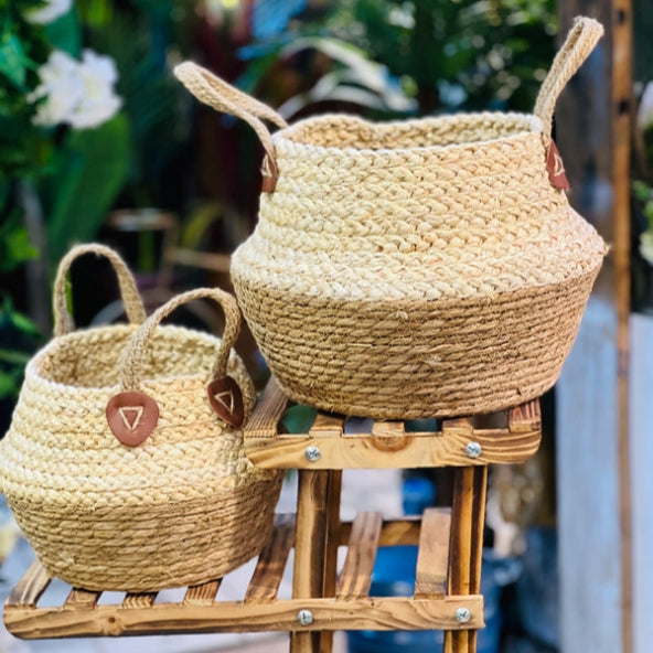 Cane Planters & Storage Bucket ( Set of 2 )