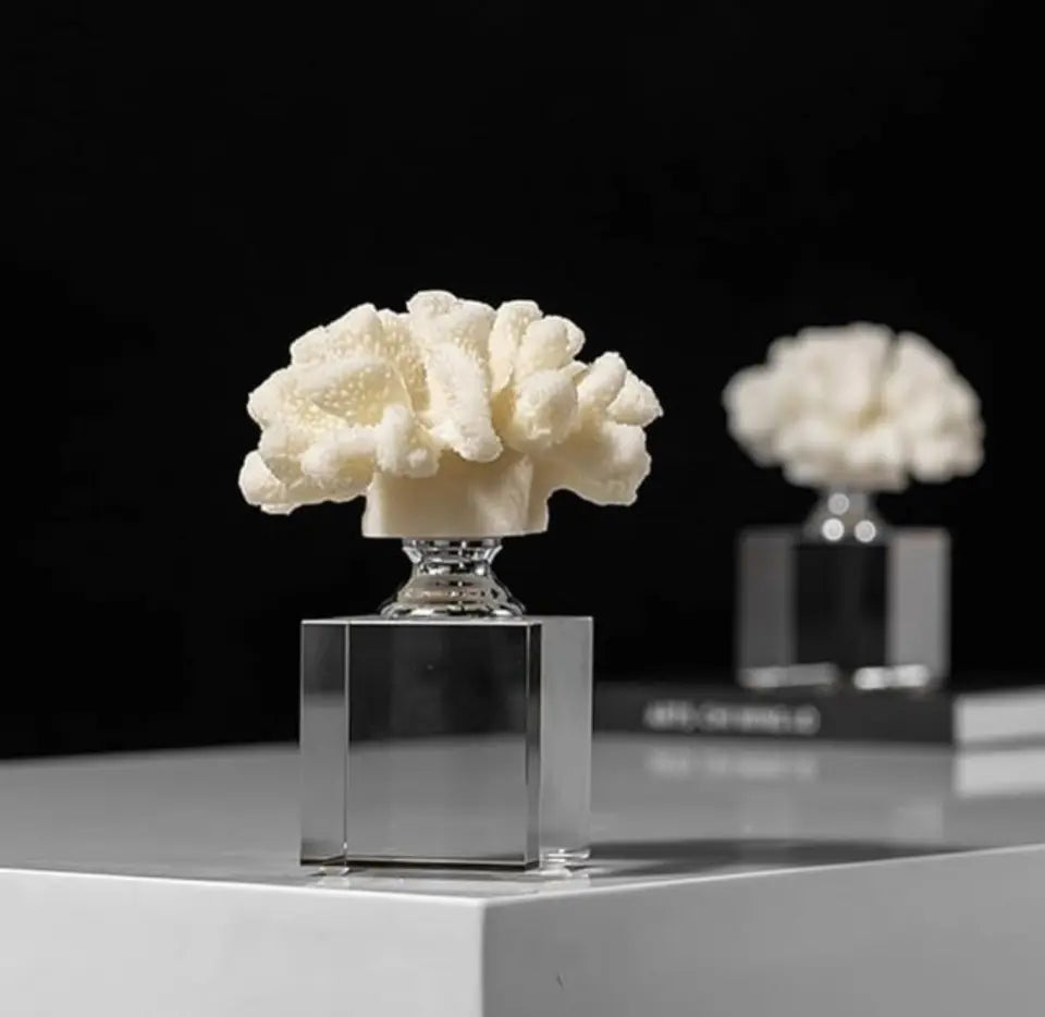 Coral Sculpture Mounted On Glass Base Paper