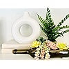 Donut Shaped Vase Decor