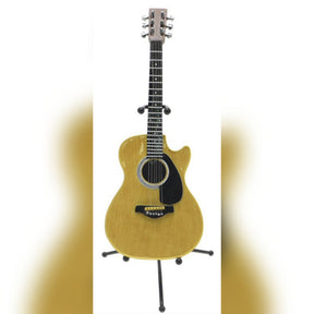 ACOUSTIC GUITAR MONEY BANK