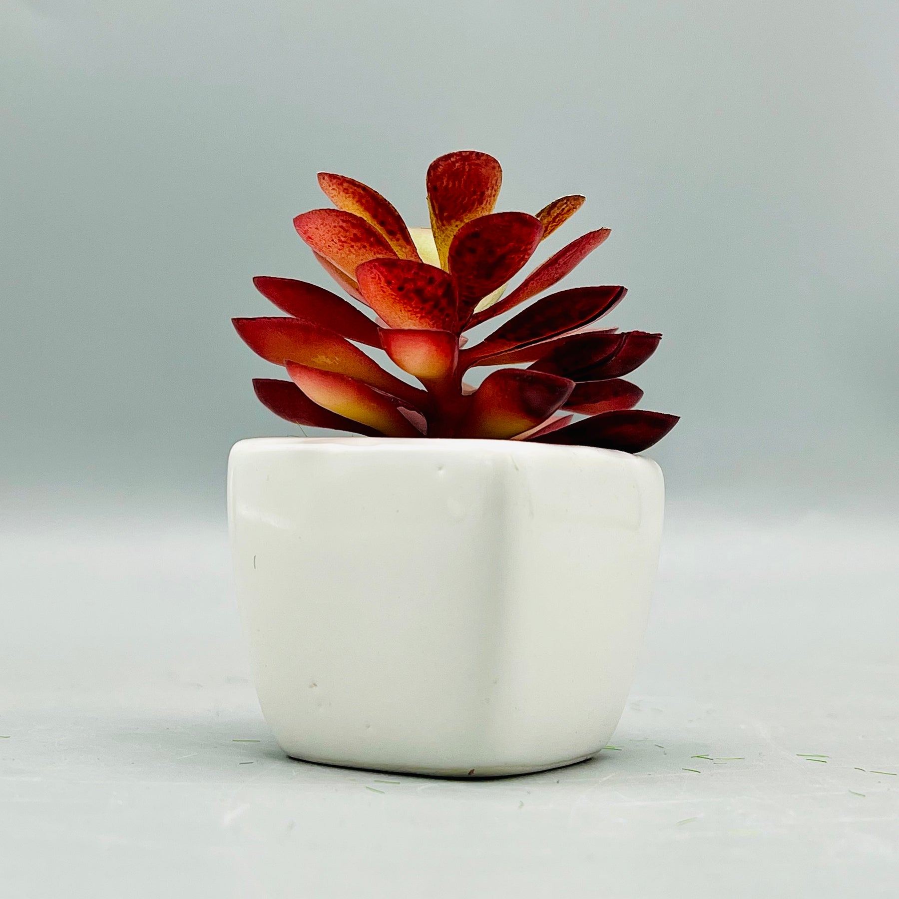 Tiny Crimson Plant Pot