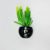 Cactus Pot