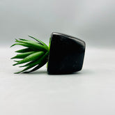 Minni Aloe Plant Pot