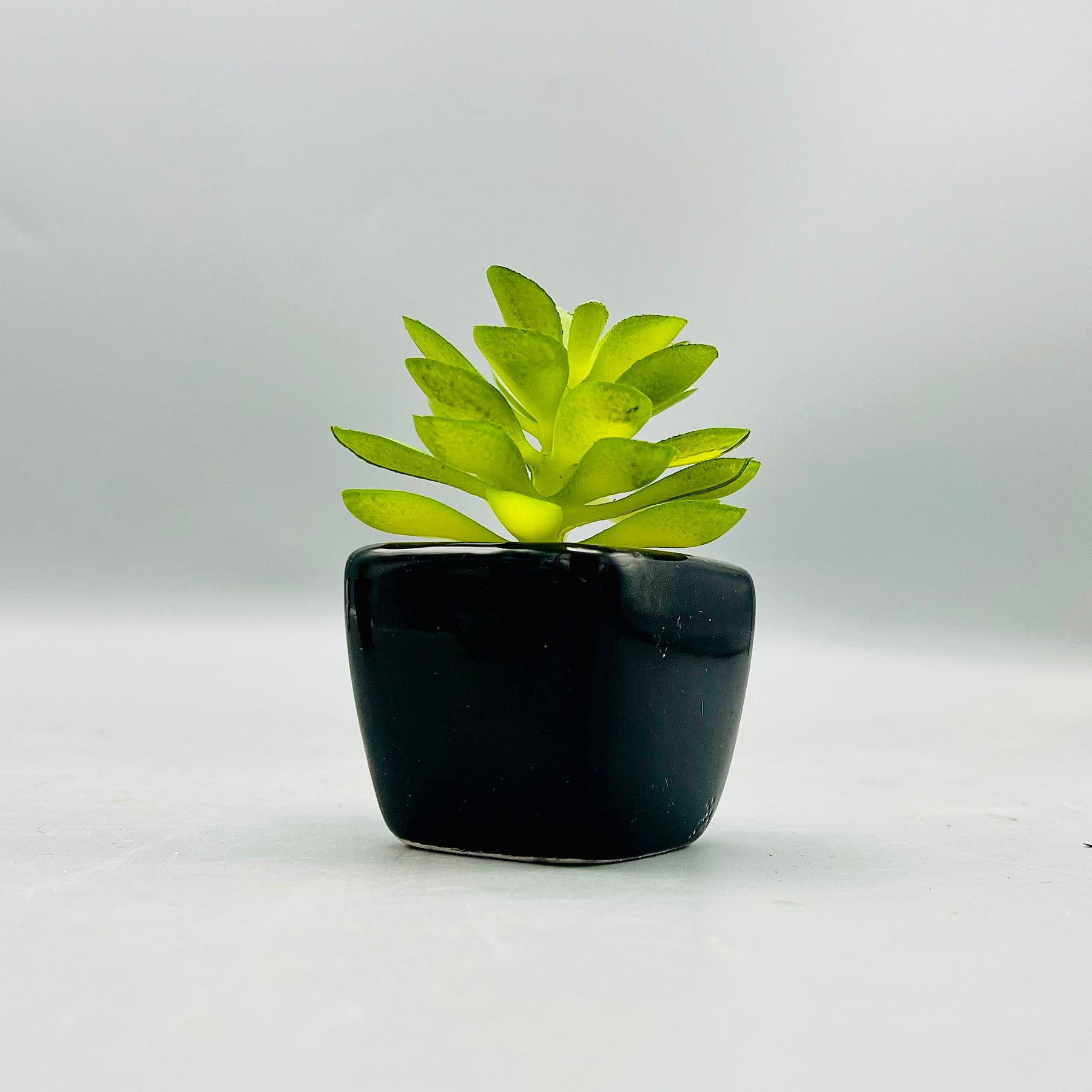 Tiny Crimson Plant Pot