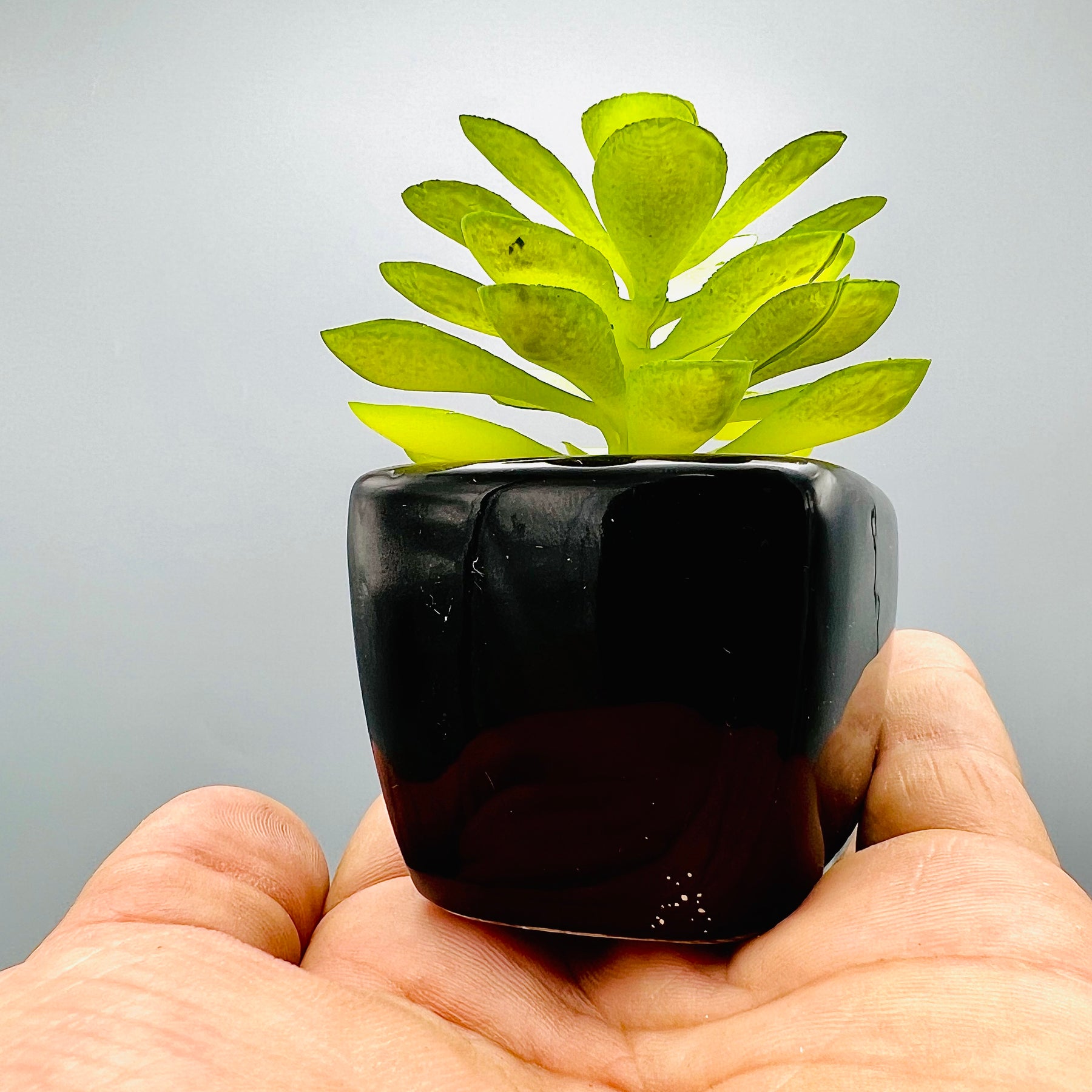 Tiny Crimson Plant Pot