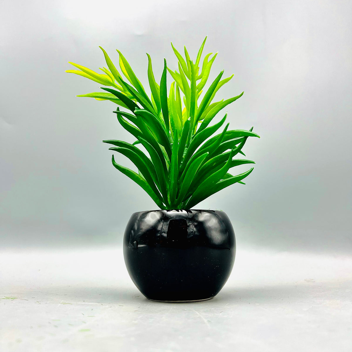 Ceramic Pot Plant