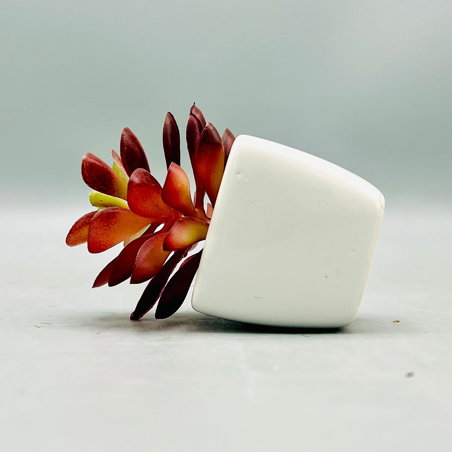 Tiny Crimson Plant Pot