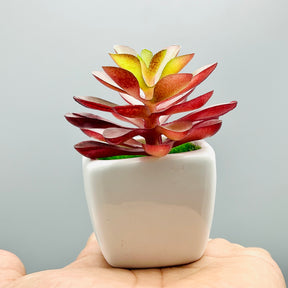 Tiny Crimson Plant Pot